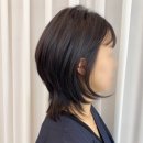 벨루스 헤어 이미지