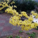 청도한의원 이미지