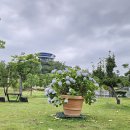 빛가람동 호수공원 이미지