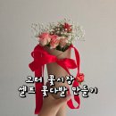 W20 고터 꽃시장과 다이소 가서 셀프 꽃다발 만든 후기