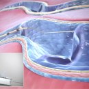 케이씨에스부산수흉부외과의원 이미지