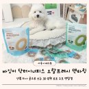 별덴탈 | 강아지 덴탈껌으로 치석 관리 시작한 다견가정 후기 바잇미 덴타링 닥터이너피스