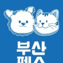 마이스정보사이트 - 2025 부산펫쇼 이미지