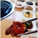 한우랑송이랑 이미지