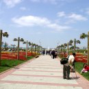 꽃지가는길 이미지