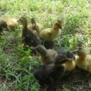 오리창고 이미지