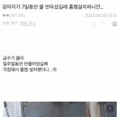 강아지가 7일 동안 물을 안 마셔서 설치한 홈캠.jpg 이미지