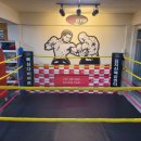 성일GYM 복싱센터 이미지