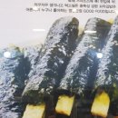 땡큐꼬마김밥 - 안산시 단원구 광덕서로 52 | 땡큐꼬마김밥