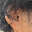 참좋은보청기 | [공주보청기] 오티콘보청기 공주센터 엄마 오픈형 보청기 맞추고 온 후기