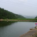 평촌낚시터 이미지