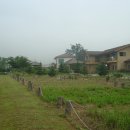 임씨네농장 이미지