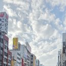 동양합기도체육관 이미지