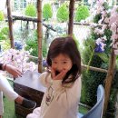 감천할머니 이미지