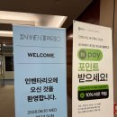 블루숑 | 인벤타리오 2026 후기