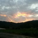 오늘도또