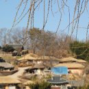 양지마을2로 이미지