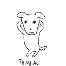 조아하멍 이미지