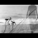 Dans ton souvenir 이미지