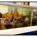 마사회뒷편 이미지