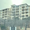 GM대우울산중구바로정비 | 울산 대가족 숙소 추천 성수기 20만원대 마우나리조트 30평 투룸 후기