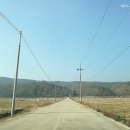 영화5길 이미지