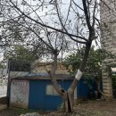 순대생각서정리점 이미지