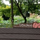 백일홍어린이공원 이미지