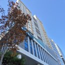 동대구로 이미지