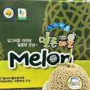 원두막메론