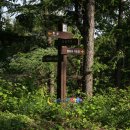 스트로마톨라이트 이미지