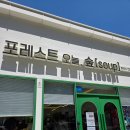 세사리빙김해율하 | 역대급 비주얼! 김해 율하 '포레스트 오늘숲' 왕갈비 쌀국수 & 짜조 솔직 후기