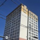 월드피아 이미지