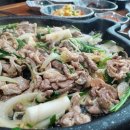 (주)삼호유황오리 이미지