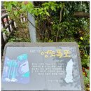 엉또폭포 | 비 오는 날만 나타나는 제주 비경 엉또폭포 실제 후기 공개