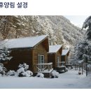 ☆[설연휴산행]☆1/23~1/24 (1박2일)가리왕산 자연 휴양림에서 힐링도 하고 케이블카 타고 백두대간 진풍경 구경 가요~~~^ㅇ^ 이미지