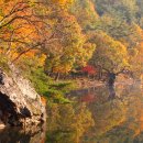 신성리생태공원 이미지