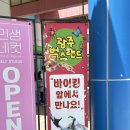장애인 | 광주실내동물원 패밀리랜드 벅스랜드 26개월 아기와 방문후기