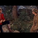 로즈마리숲 이미지