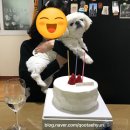 이승옥베이커리 | [백령도 맛집] 파리바게뜨, 카페베네 - 케이크 예약