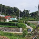 명신초교 이미지