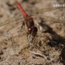 삼환공인중개사사무소 이미지