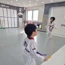 강한친구들 태권도 이미지