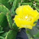 창녕농장 이미지