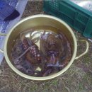 응암공원 내 이미지