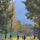 석동행정복지센터 이미지