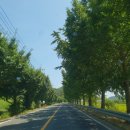 장천재체육공원 이미지