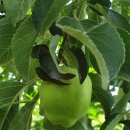 참살이농원 이미지