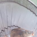 팔미리낚시터 이미지