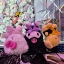 버니하우스 동래점 이미지